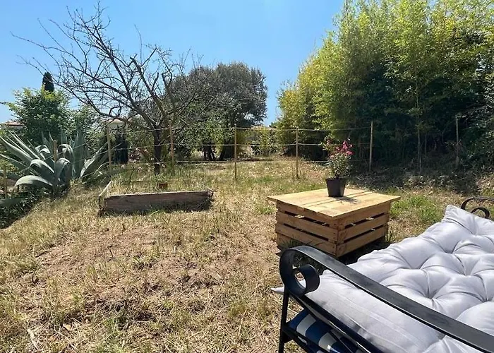 La Baraquette De Thau * Meze