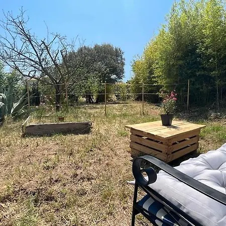 La Baraquette De Thau * Mèze
