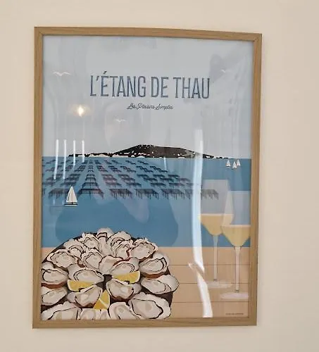 La Baraquette De Thau Mèze